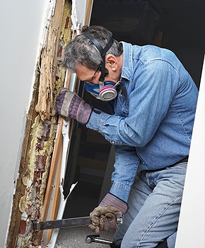 Man clearing out pests in wall